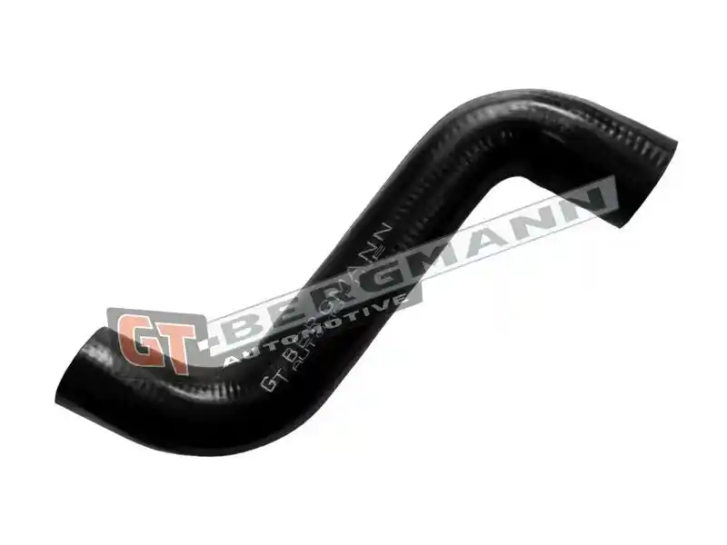 GT-BERGMANN Automotive GT52-804