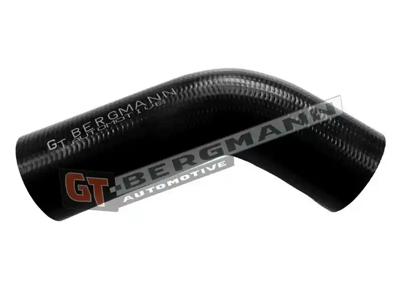 GT-BERGMANN Automotive GT52-806