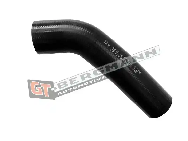 GT-BERGMANN Automotive GT52-824