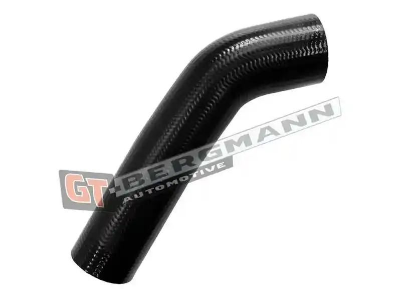GT-BERGMANN Automotive GT52-824