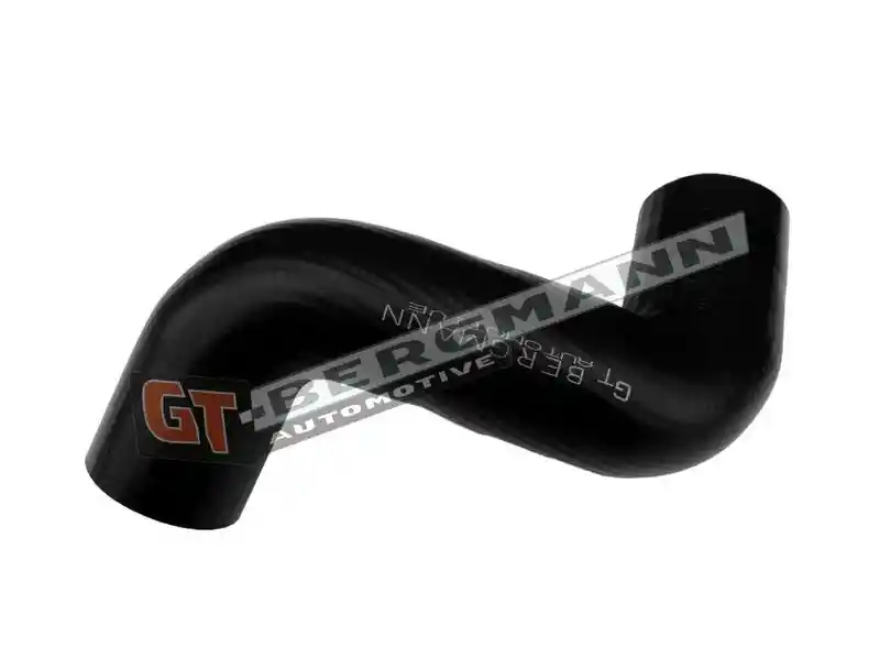 GT-BERGMANN Automotive GT52-834