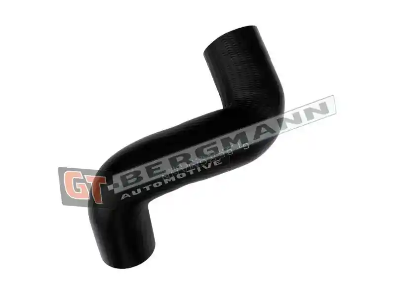 GT-BERGMANN Automotive GT52-834