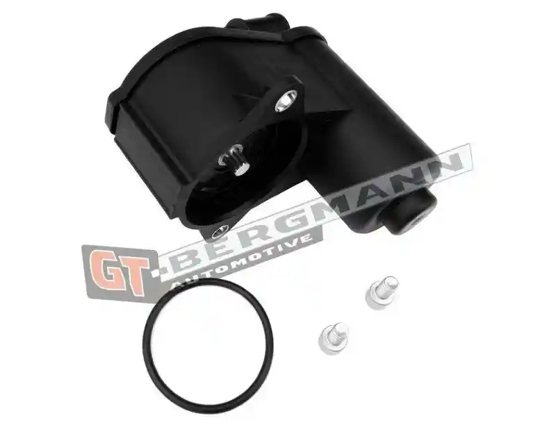 GT-BERGMANN Automotive GT80-536