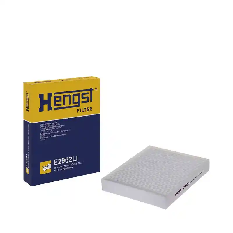 HENGST FILTER 10078310000