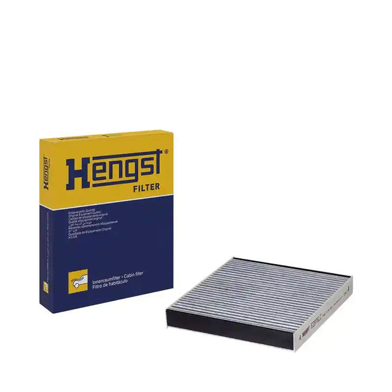HENGST FILTER 6346310000