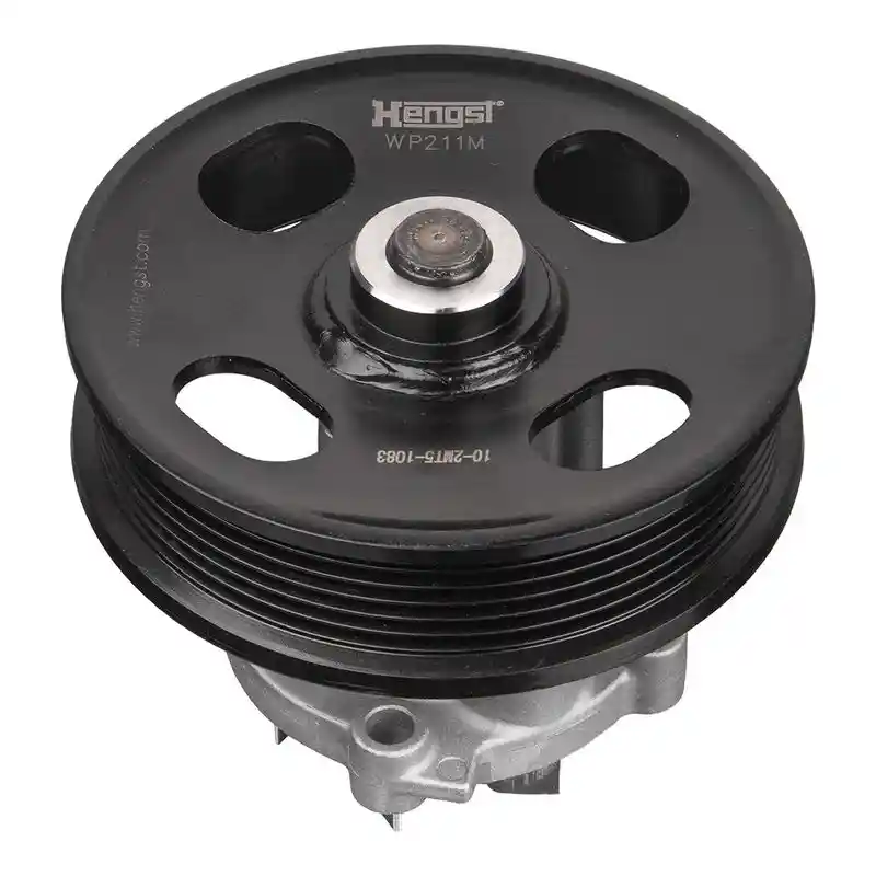 HENGST FILTER WP211M D1191