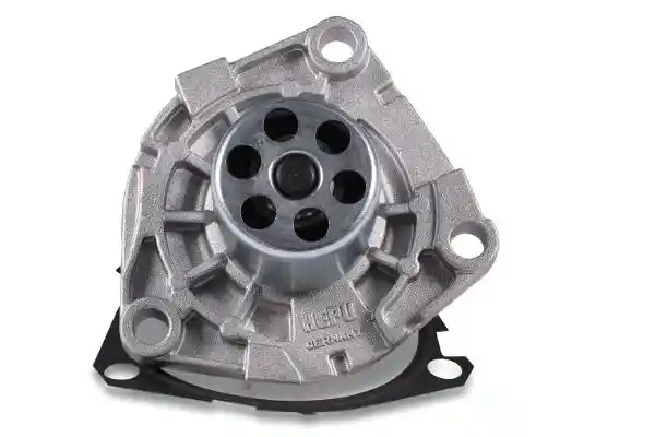 HEPU P1089