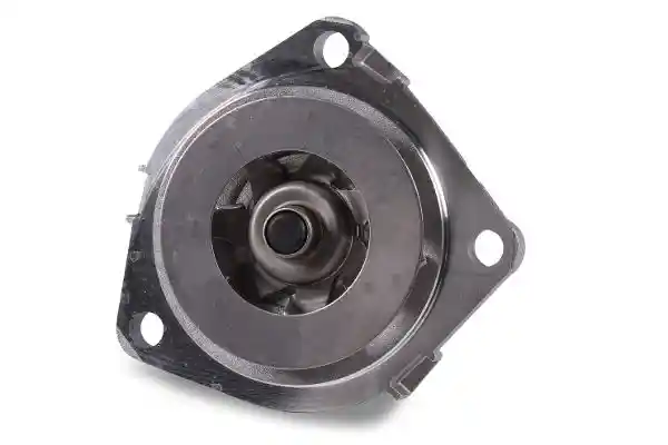 HEPU P1089