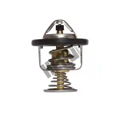HEPU TM1287