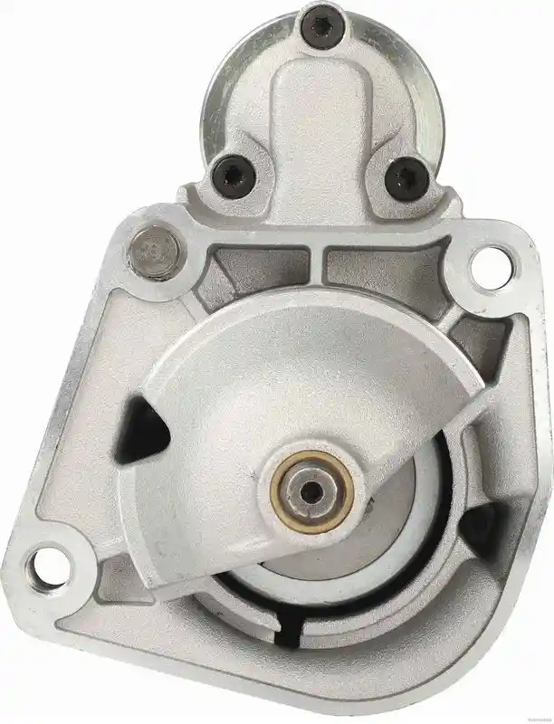 HERTHBUSS ELPARTS 42021620