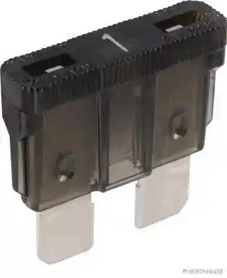 HERTHBUSS ELPARTS 50295401