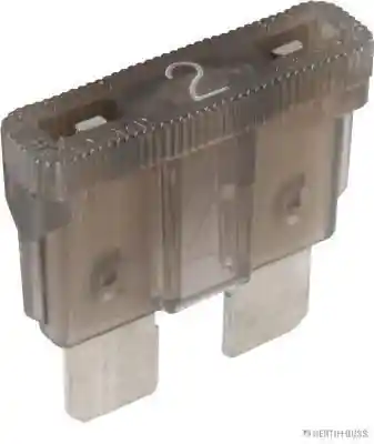 HERTHBUSS ELPARTS 50295402
