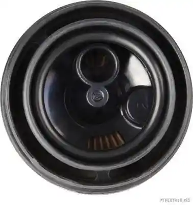 HERTHBUSS ELPARTS 65453022