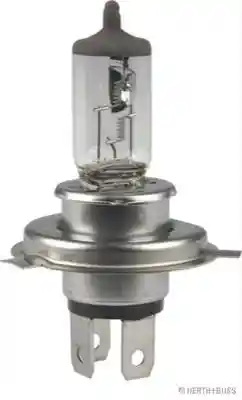 HERTHBUSS ELPARTS 89901098