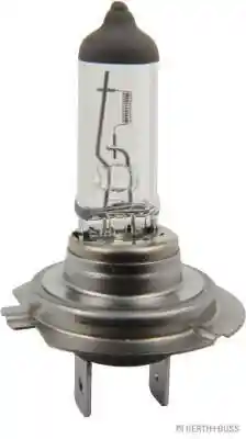 HERTHBUSS ELPARTS 89901202