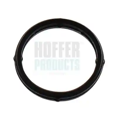 HOFFER 016249 HOFFER 016249
