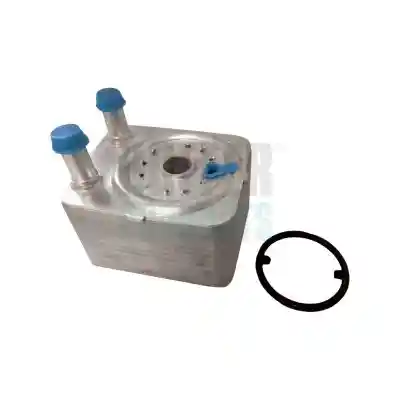 HOFFER 8095006