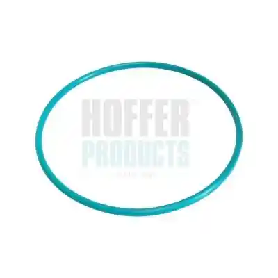 HOFFER GSK01 HOFFER GSK01