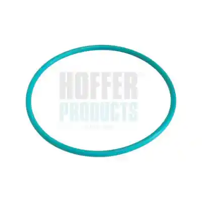 HOFFER GSK03 HOFFER GSK03