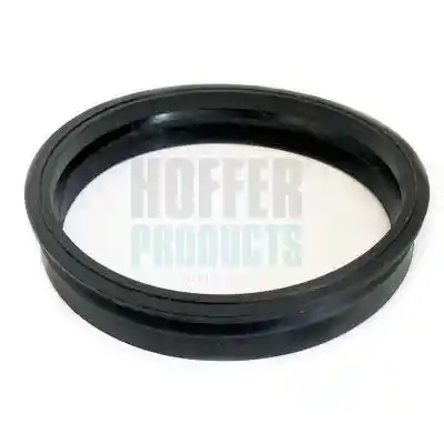 HOFFER GSK04