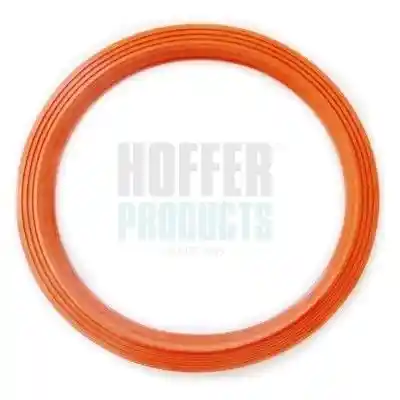 HOFFER GSK09 HOFFER GSK09