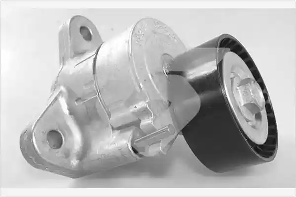 HUTCHINSON T0555 HUTCHINSON T0555