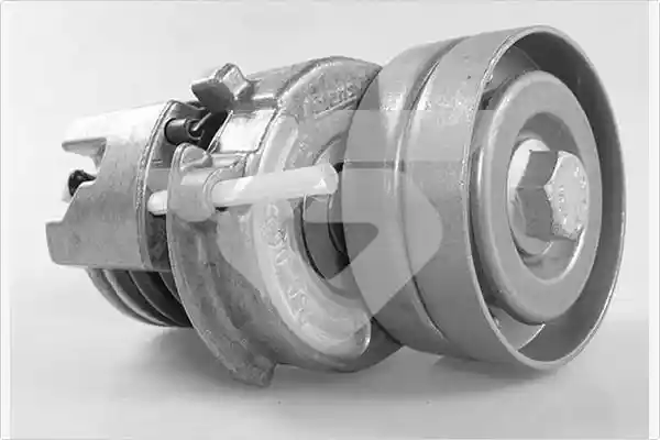 HUTCHINSON T0557