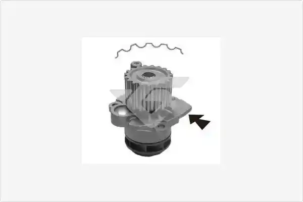 HUTCHINSON WP0057V HUTCHINSON WP0057V