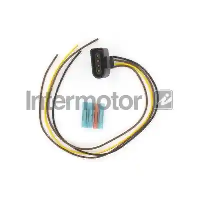 INTERMOTOR 12999