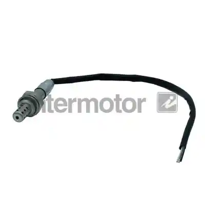 INTERMOTOR 13300