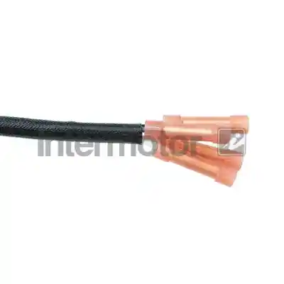 INTERMOTOR 13300
