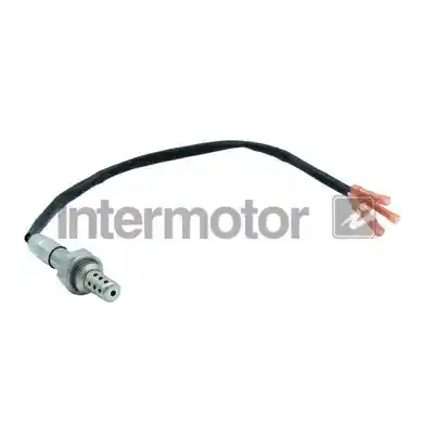 INTERMOTOR 13300