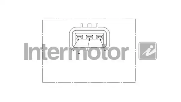 INTERMOTOR 17066
