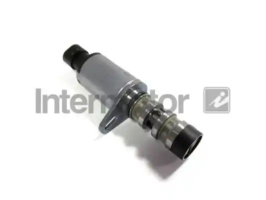 INTERMOTOR 17301