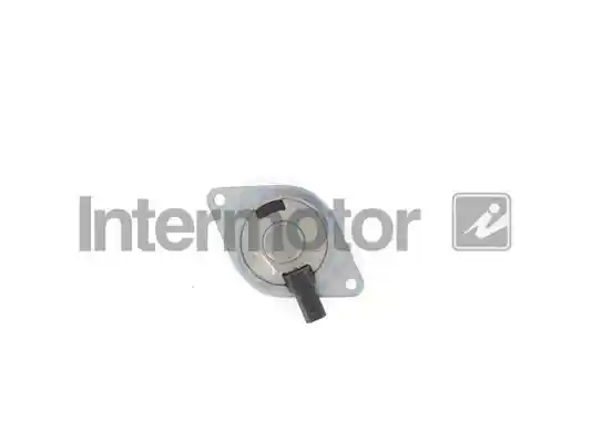 INTERMOTOR 17307
