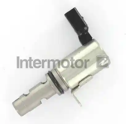 INTERMOTOR 17310