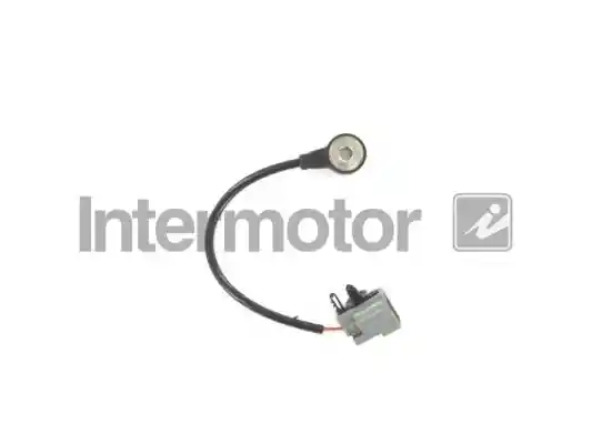 INTERMOTOR 19553