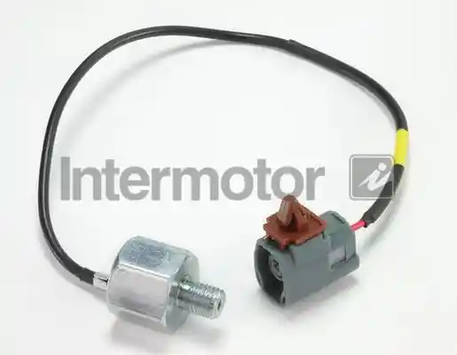 INTERMOTOR 19586