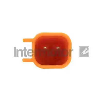 INTERMOTOR 31092