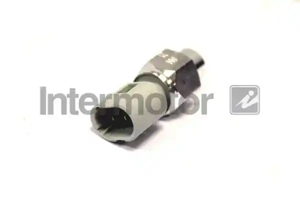 INTERMOTOR 50594