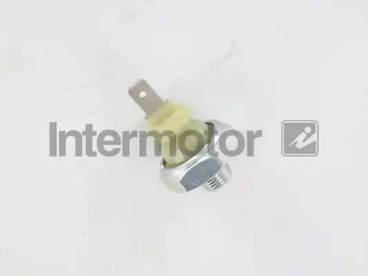 INTERMOTOR 50960