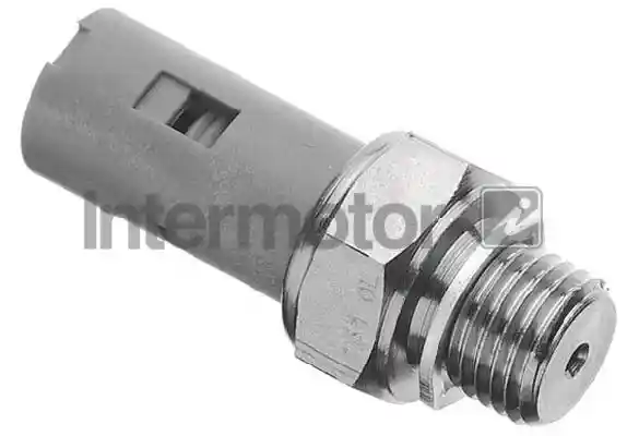 INTERMOTOR 51173
