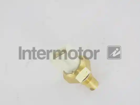 INTERMOTOR 55120