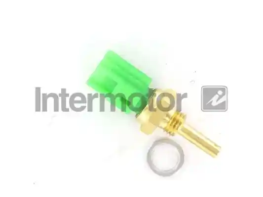 INTERMOTOR 55123