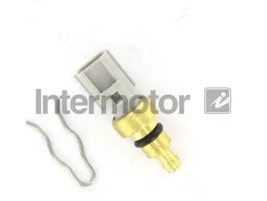INTERMOTOR 55171