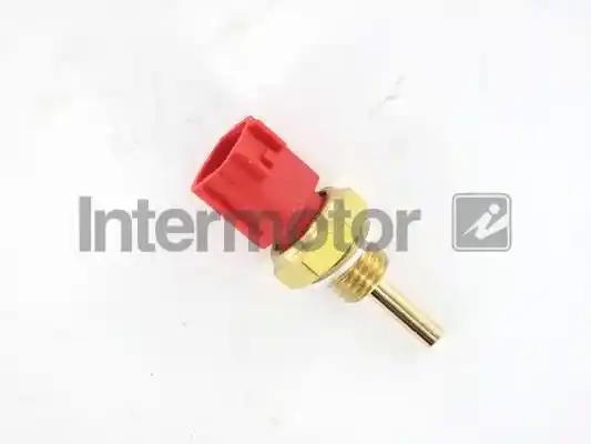 INTERMOTOR 55516