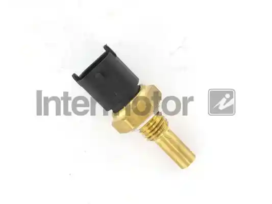 INTERMOTOR 55525