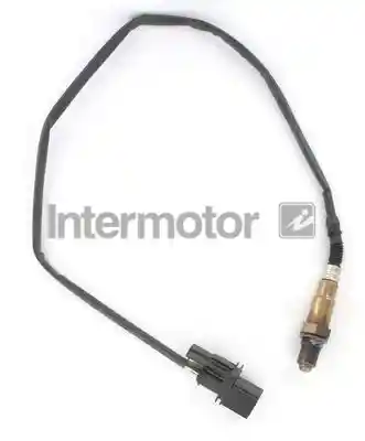 INTERMOTOR 65025