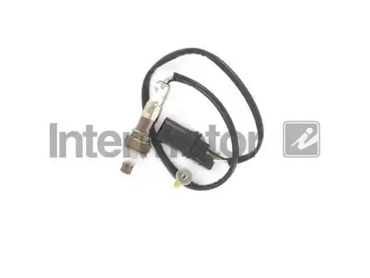 INTERMOTOR 65118
