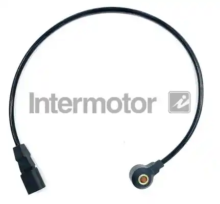 INTERMOTOR 70012